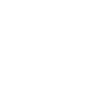 Logotipo — Sociedade Brasileira de Nefrologia